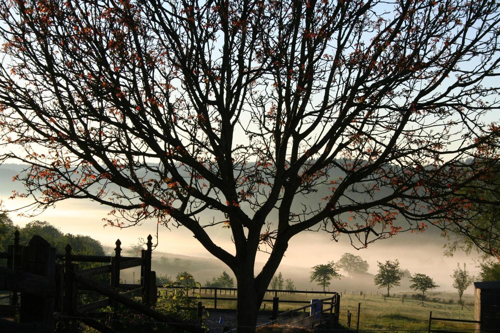 Farm stay Isi-hof *
